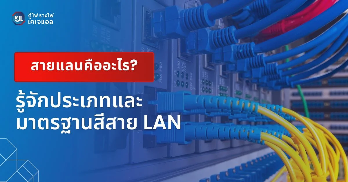 สายแลนคืออะไร
